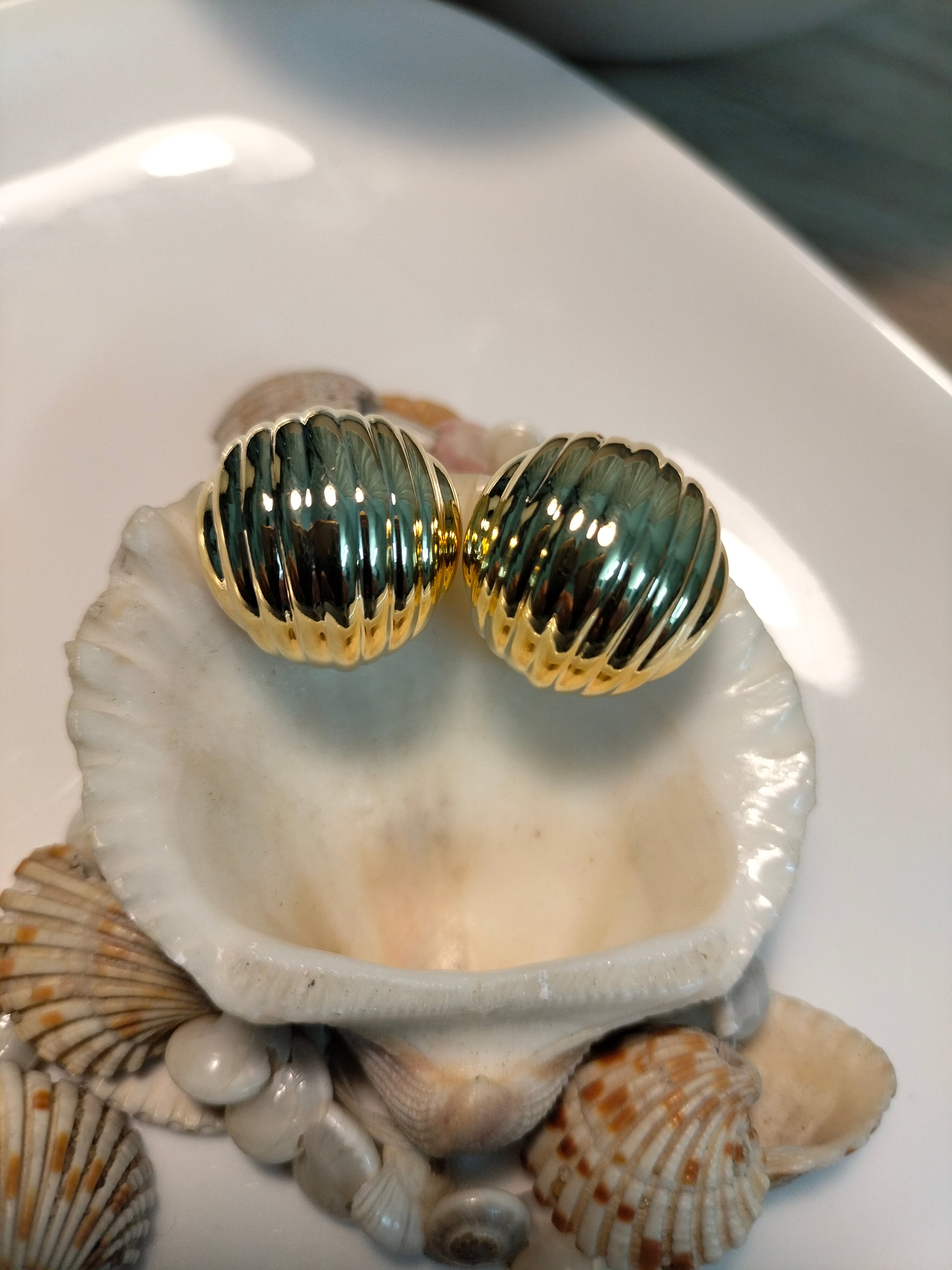 Pasta Metallic Earring