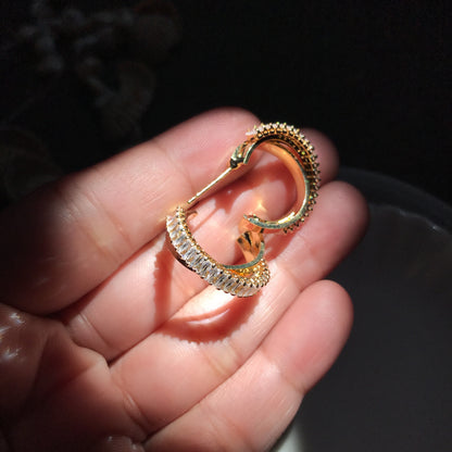 Double circle Earring