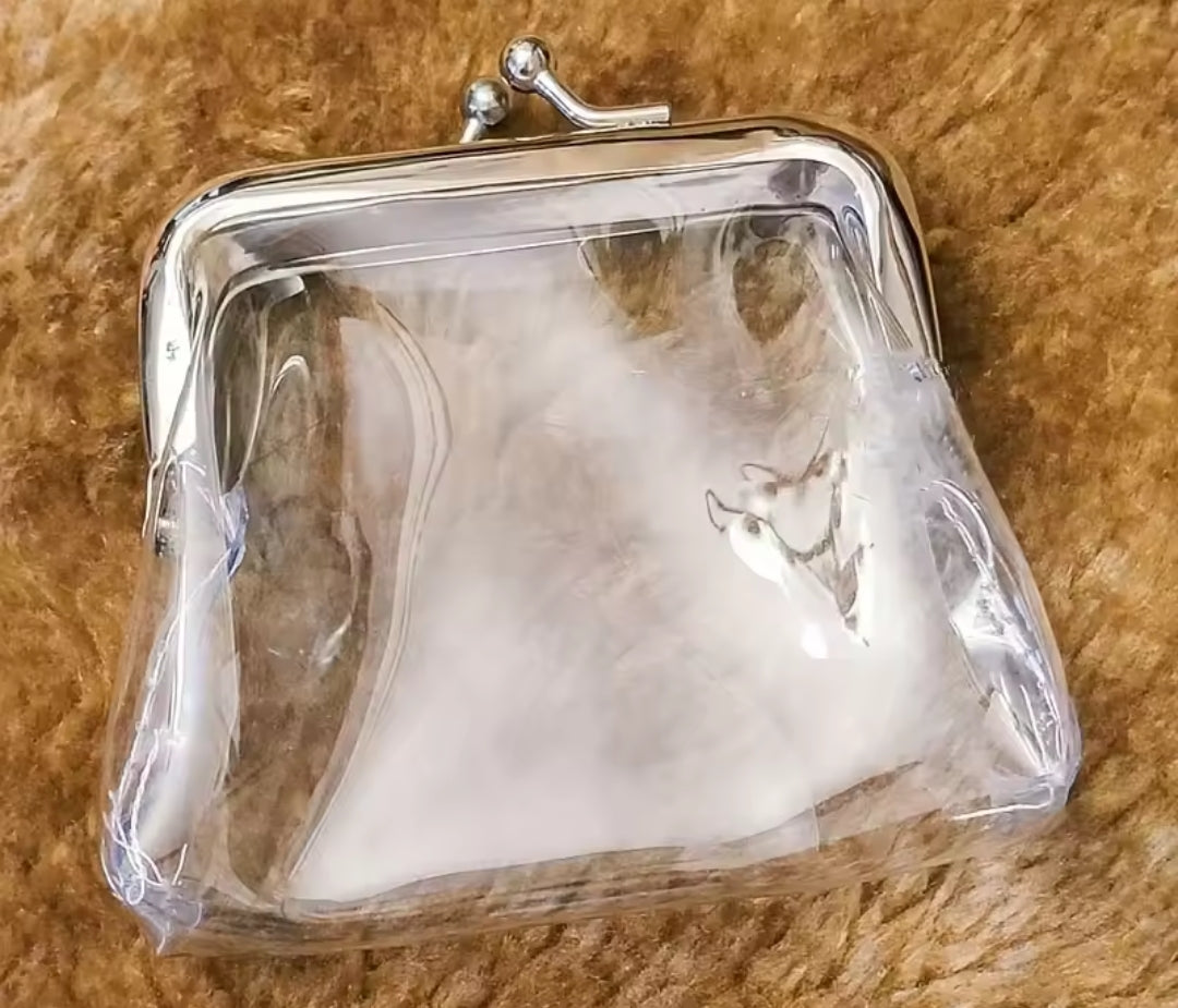 Transparent Coin Purse