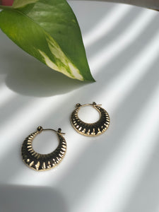 Metallic Snail Hoop