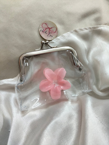 Transparent Coin Purse