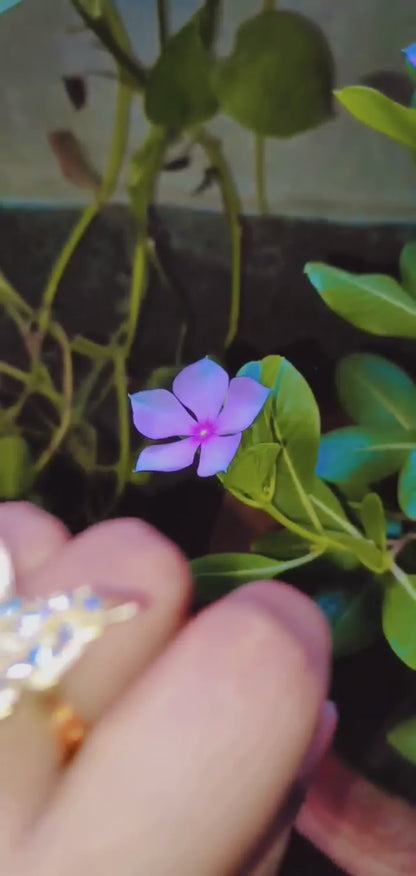 Golden Butterfly Ring