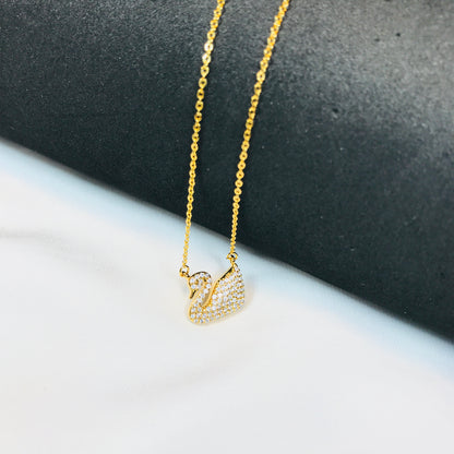 Golden king Swan