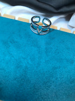 Load image into Gallery viewer, Titanium V Silver Ring (Luise)
