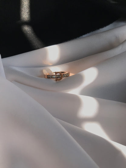 Rose Gold Titanium Belt Design Ring