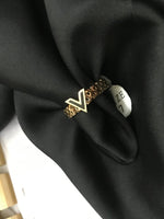 Load image into Gallery viewer, Titanium Ring Luise V
