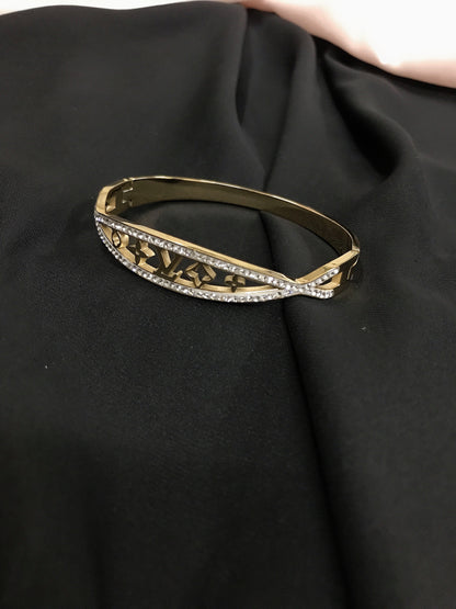 Titanium Bracelet LV 008