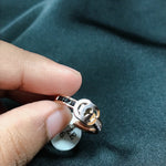 Load image into Gallery viewer, Titanium Ring Gussi
