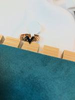 Load image into Gallery viewer, Titanium Ring Luise V
