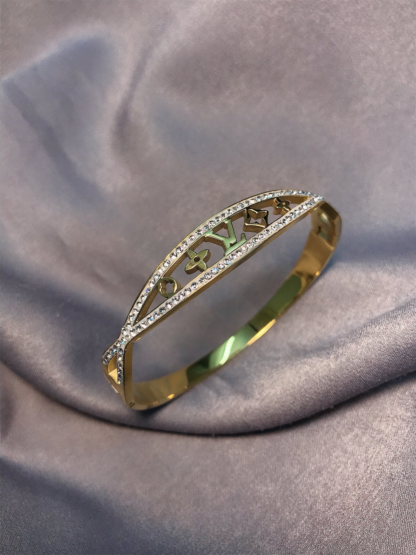 Titanium Bracelet LV 008