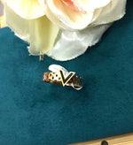 Load image into Gallery viewer, Titanium Ring Luise V
